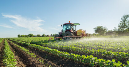 Immigration changes – The impact on rural businesses