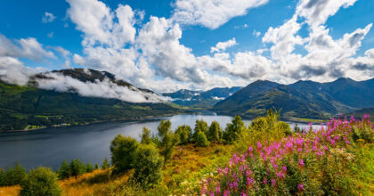 Biodiversity – where do you fit in?