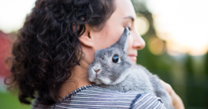 Easter Bunny Blues: Navigating Pet Custody