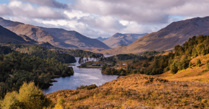 Path of new Land Reform Bill risks being a road to nowhere in Scotland