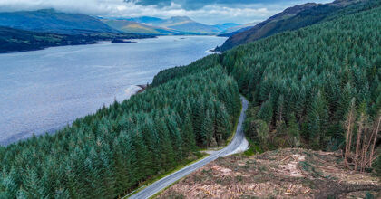 What does Land Reform mean for Commercial Forestry in Scotland?